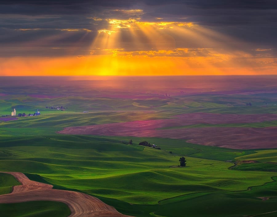 Rolling hills of the Palouse, Washington